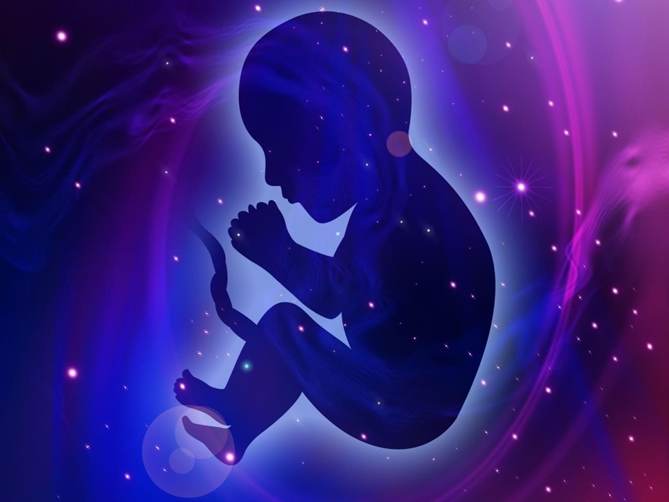 The Soul and Its Evolutionary Journey: Part 1 - Embryo Life and Terrestrial Evolution of Species