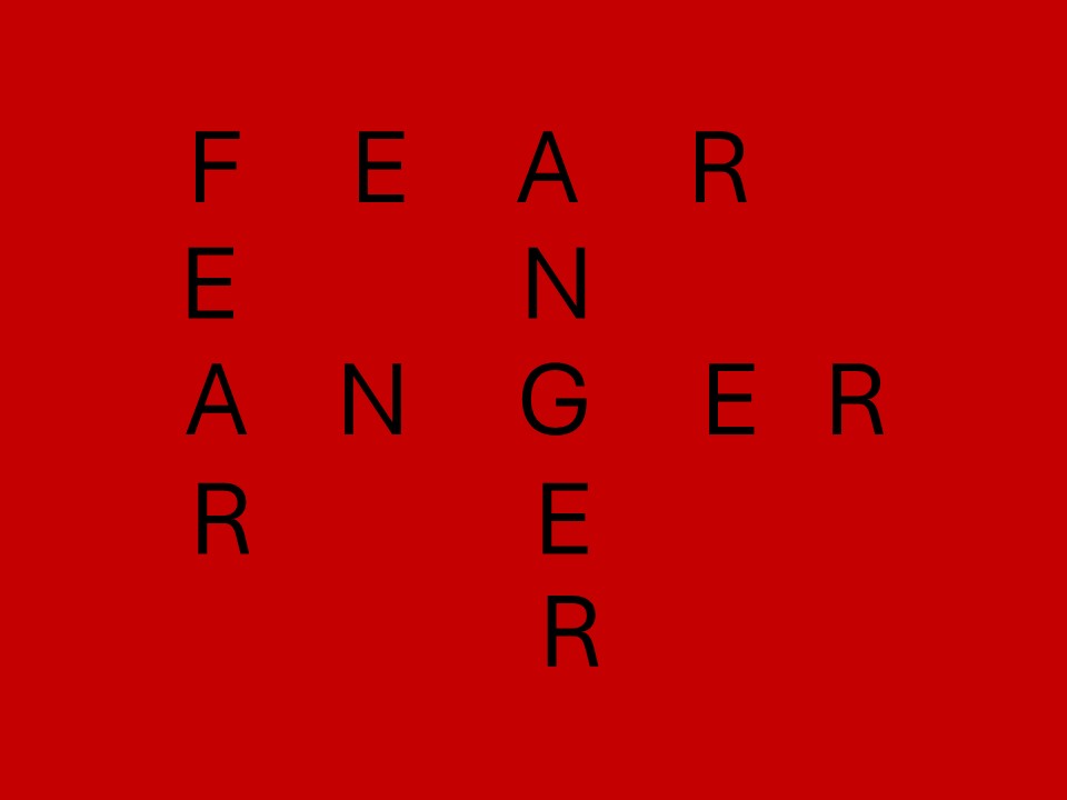 Fear and Anger as the Cause and Symptom of Stress and Anxiety