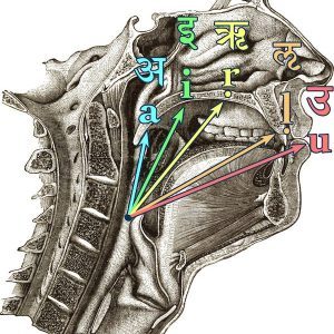 Mouth-Positions-pku4hznxp6vrdqndq3lqbrskfgu2j21adzytjgig8o